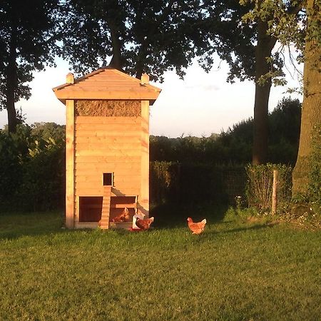 לינה וארוחת בוקר אירסל Bed En Boterham Hoeve Boord Ven מראה חיצוני תמונה